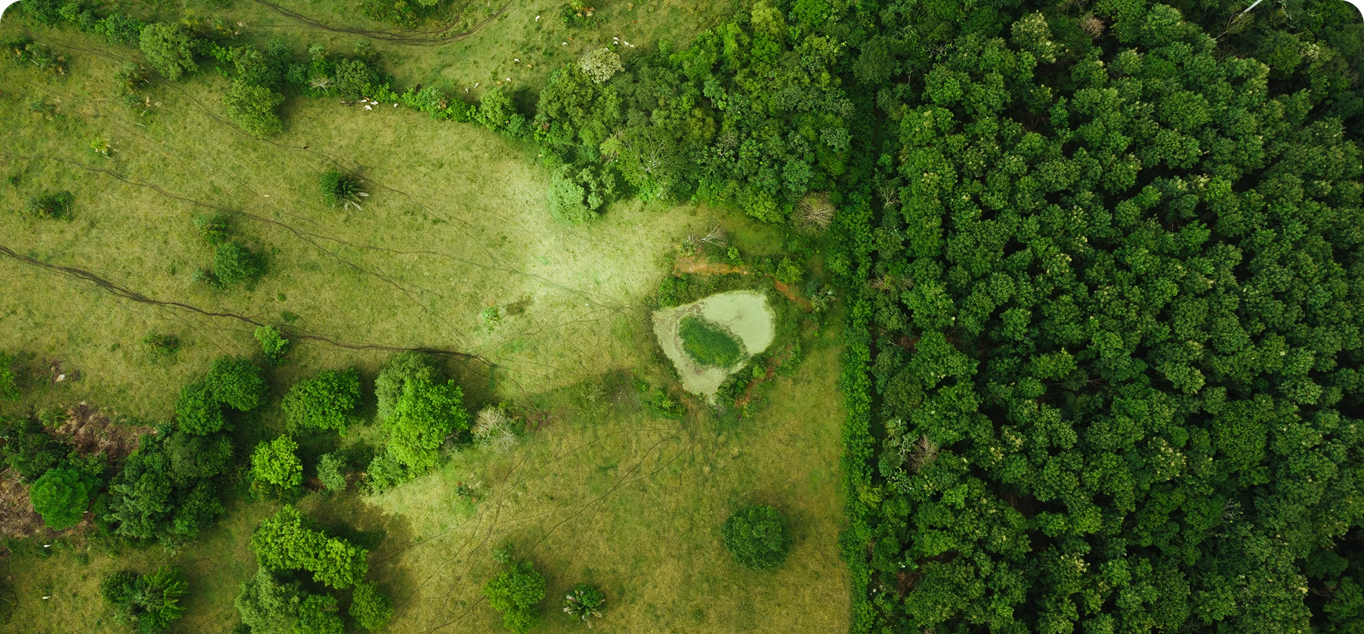 Contact Background