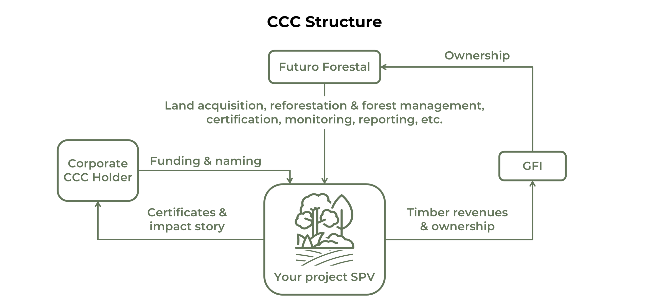 Company Structure Background