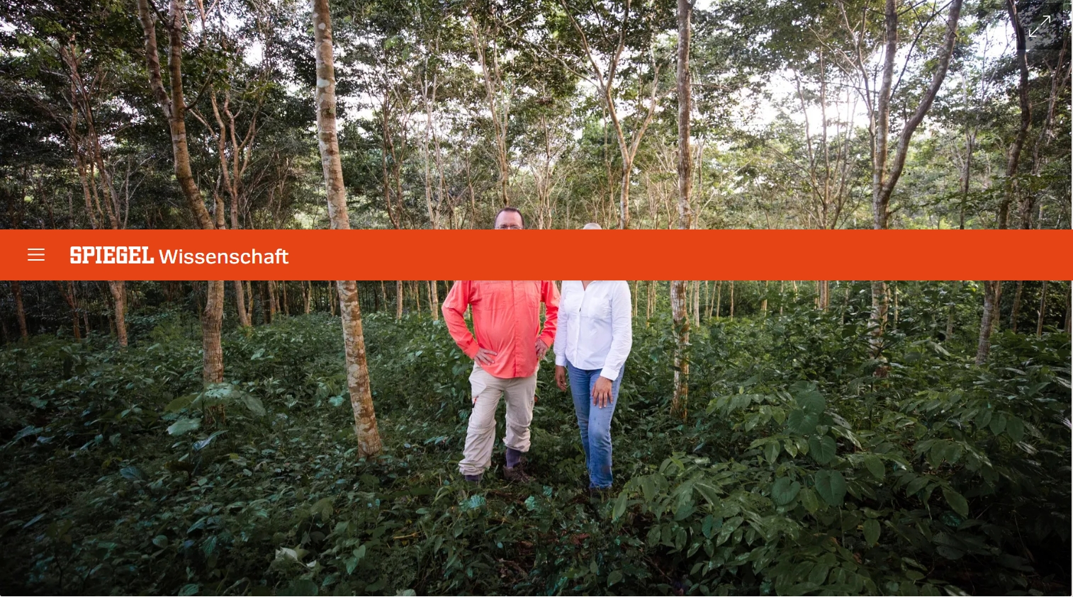 Wie die Natur das Klima retten soll